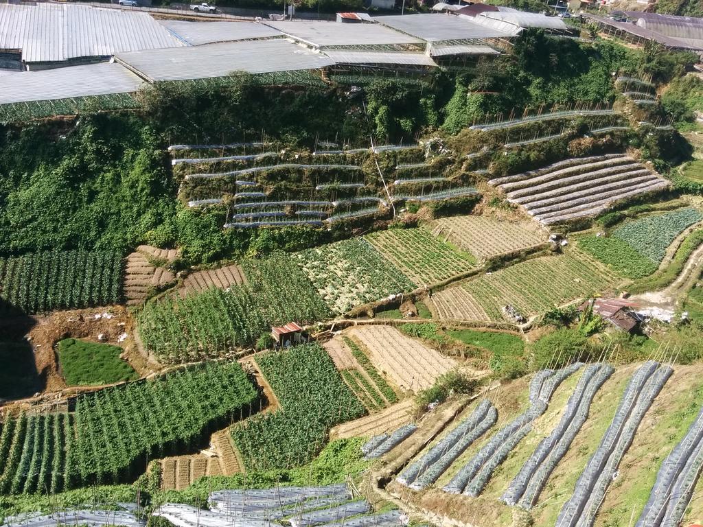 Mary Apt @ Equatorial Hill Resort Cameron Highlands Exteriér fotografie